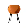 Hartman Sophie Studio dining armstoel Orange India carbon black