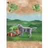 Playmobil® Wiltopia 71056 Wolf