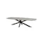 Taste by 4SO Prado deens ovaal tuintafel 300x110 cm terre