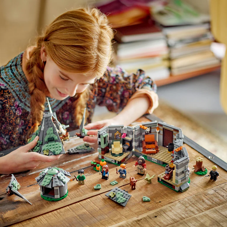 LEGO® Harry Potter 76428 Hagrids huisje onverwacht bezoek