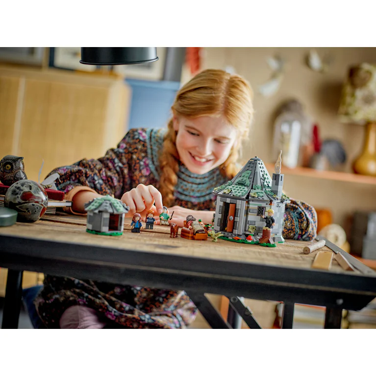 LEGO® Harry Potter 76428 Hagrids huisje onverwacht bezoek