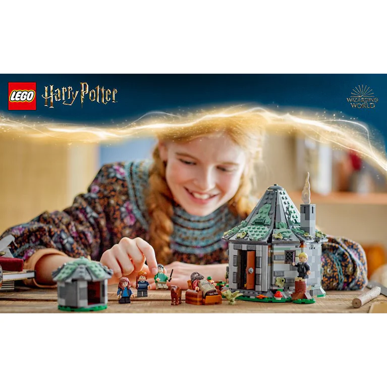 LEGO® Harry Potter 76428 Hagrids huisje onverwacht bezoek