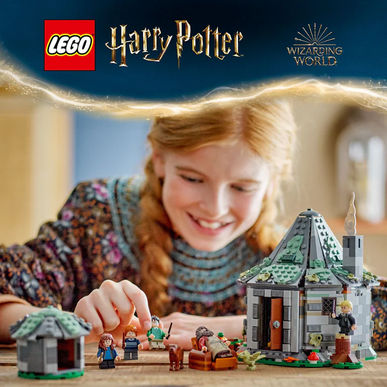 LEGO® Harry Potter 76428 Hagrids huisje onverwacht bezoek