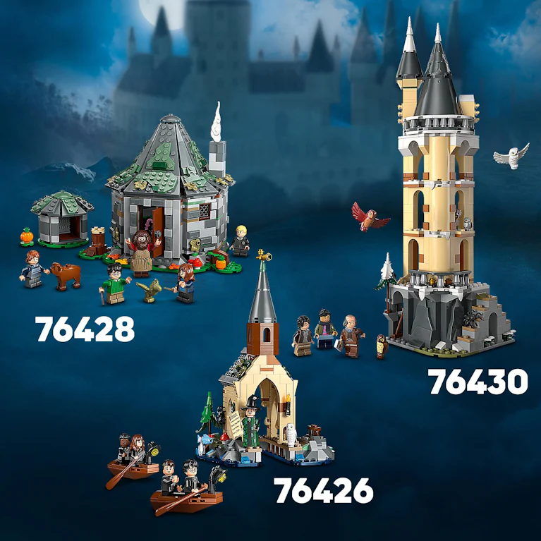 LEGO® Harry Potter 76428 Hagrids huisje onverwacht bezoek
