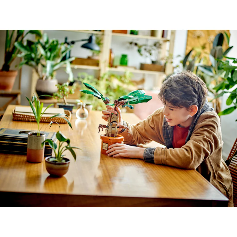 LEGO® Harry Potter 76433 Mandragora